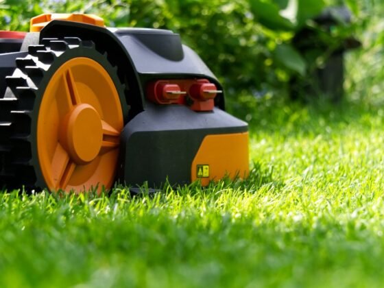 Featured image - Making Your Grass Greener Than the Other Side: Lawn Maintenance Tips for the Summer Heat
