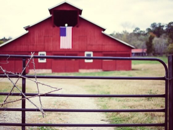 Featured image - How to Build the Best Pole Barn in Utah