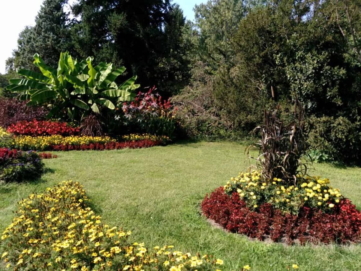 Featured image - The Best Tips for Landscape Design