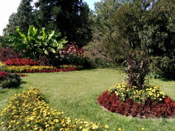 Featured image - The Best Tips for Landscape Design