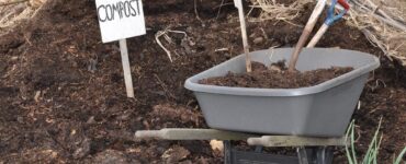 Featured image - What is Safer to Use - Mulch or Compost