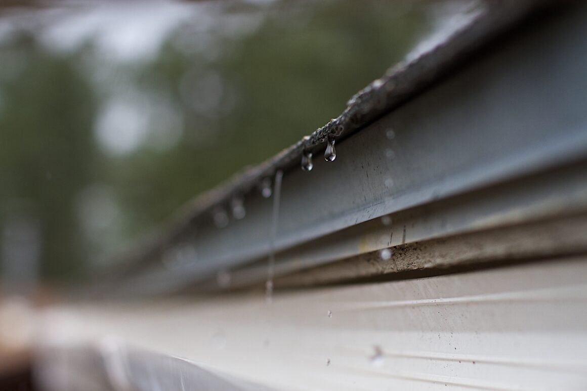 Featured image - Why Clean Gutters are Vital to Home Maintenance