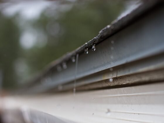 Featured image - Why Clean Gutters are Vital to Home Maintenance