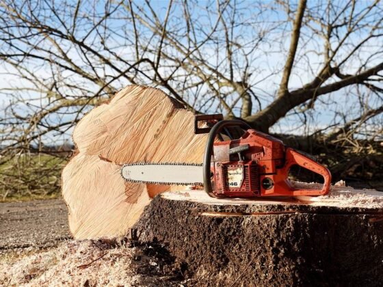 Featured image - 7 Tips to Safely Operate Chainsaw
