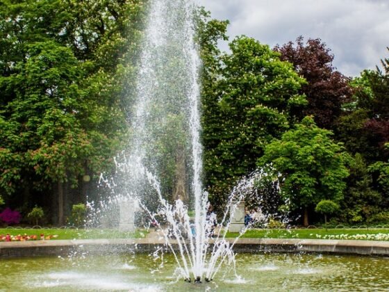 Featured image - 4 Factors to Consider When Choosing Pond Fountain