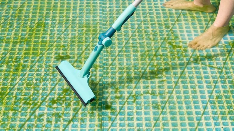 remove algae from above ground pool