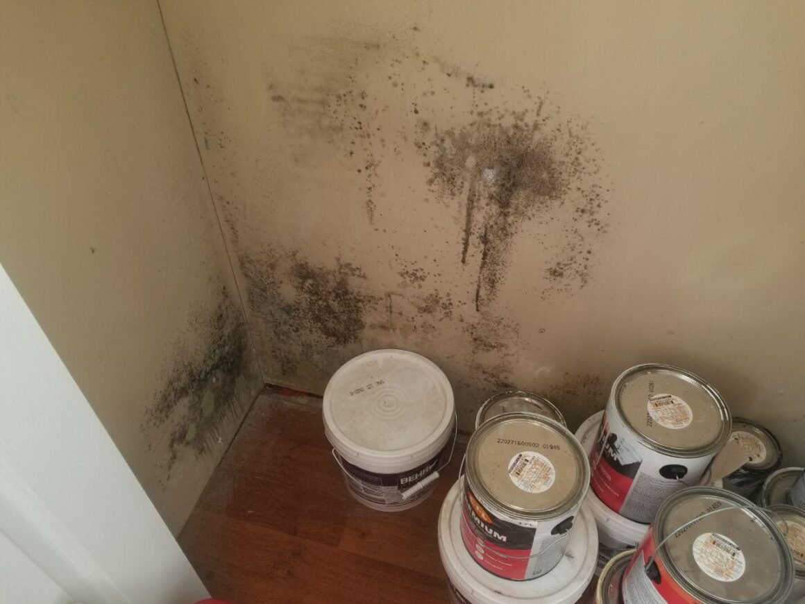 Featured image - Common Hangout Places for Household Mold