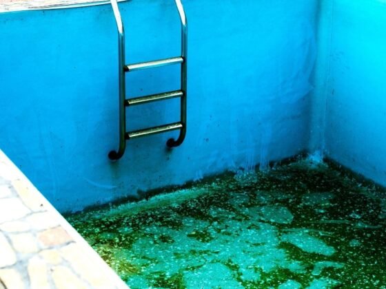 Featured image - How to Clean An Empty Pool With Algae