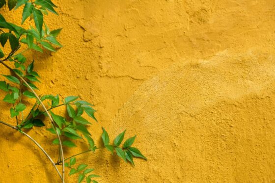 Featured image - Has Stucco Changed in The Last 100 Years