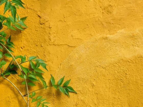 Featured image - Has Stucco Changed in The Last 100 Years