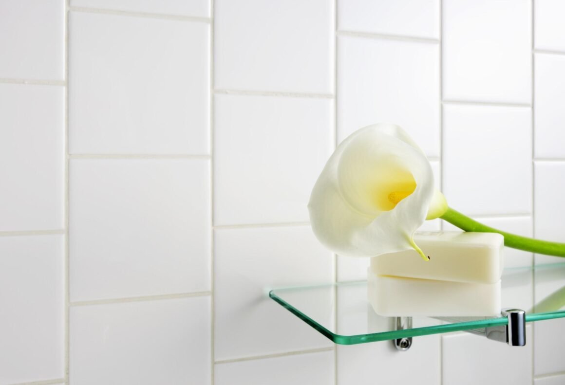 Featured image - How Can Be Glass Shelves Perfectly Draw Attention to Your Knick Knacks