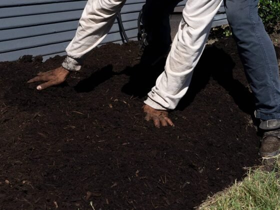 Featured image - Reasons to Hire a Professional Lawn Care Company