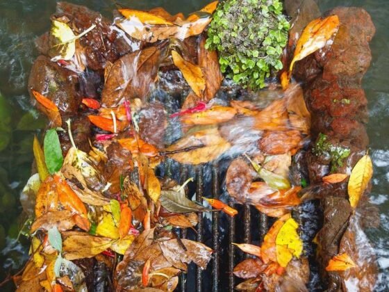 Featured image - Signs and Causes of Blocked Drain Sydney