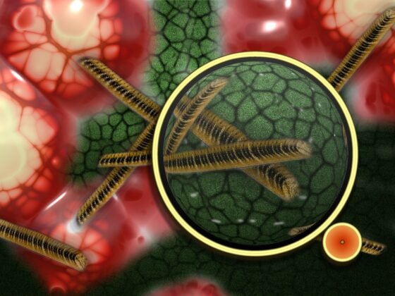 Featured image - Stopping the Spread of Disease from the Home