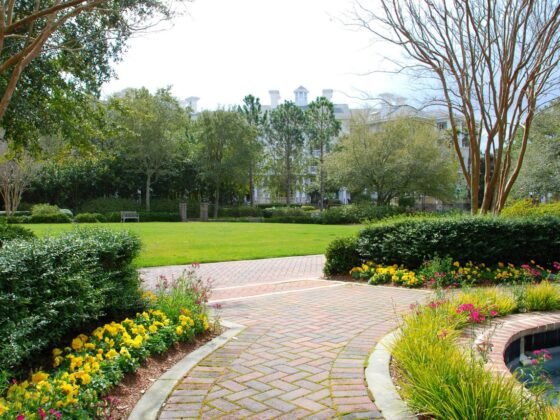 Featured image - Tips to Select the Correct Paver