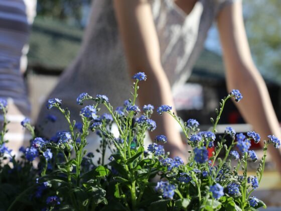 Featured image - Turn Your Yard into a Yarden