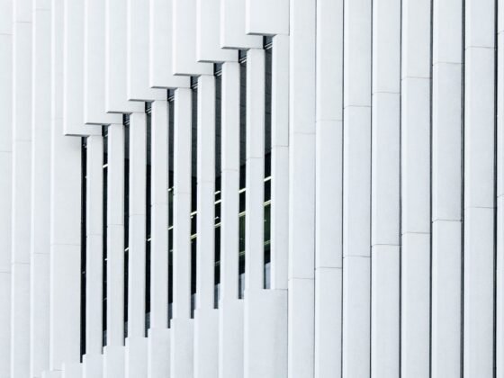 Featured image - The Best Advice You Could Ever Get About Vinyl Blinds