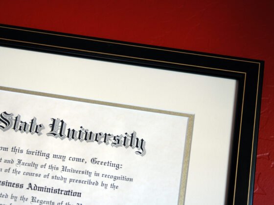 Featured image - Framing Your Study with Achievements and Awards