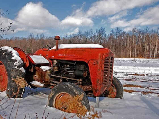 Featured image - 10 Agricultural Tips for the Winter