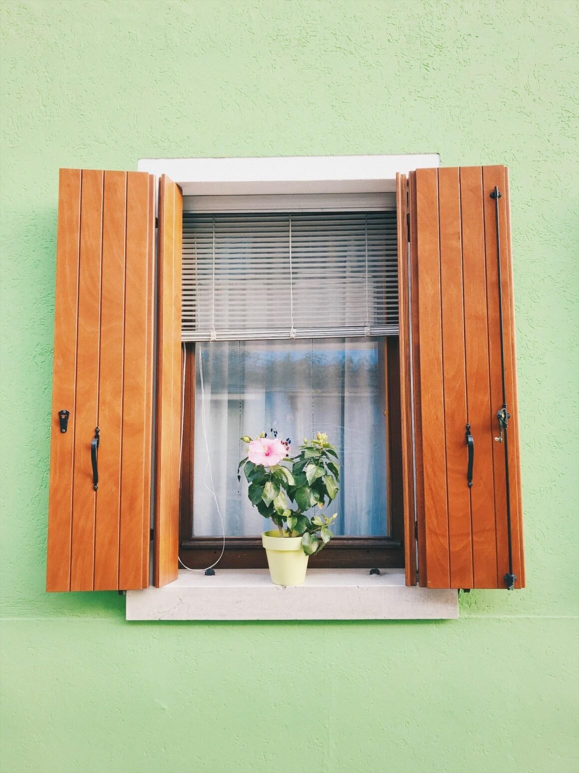 Featured image - 10 Professional Tips to Pick the Perfect Plantation Shutters
