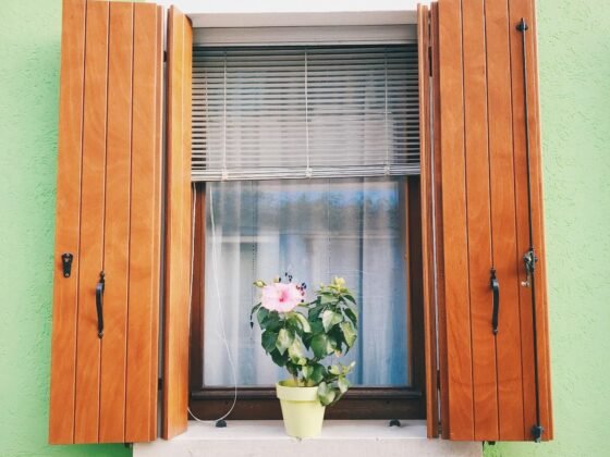 Featured image - 10 Professional Tips to Pick the Perfect Plantation Shutters