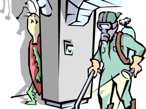 Featured image - What to Look for in Commercial Pest Extermination Services