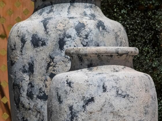 Featured image - How to Find Large Garden Pots to BeautifyYour Home's Outdoor Area