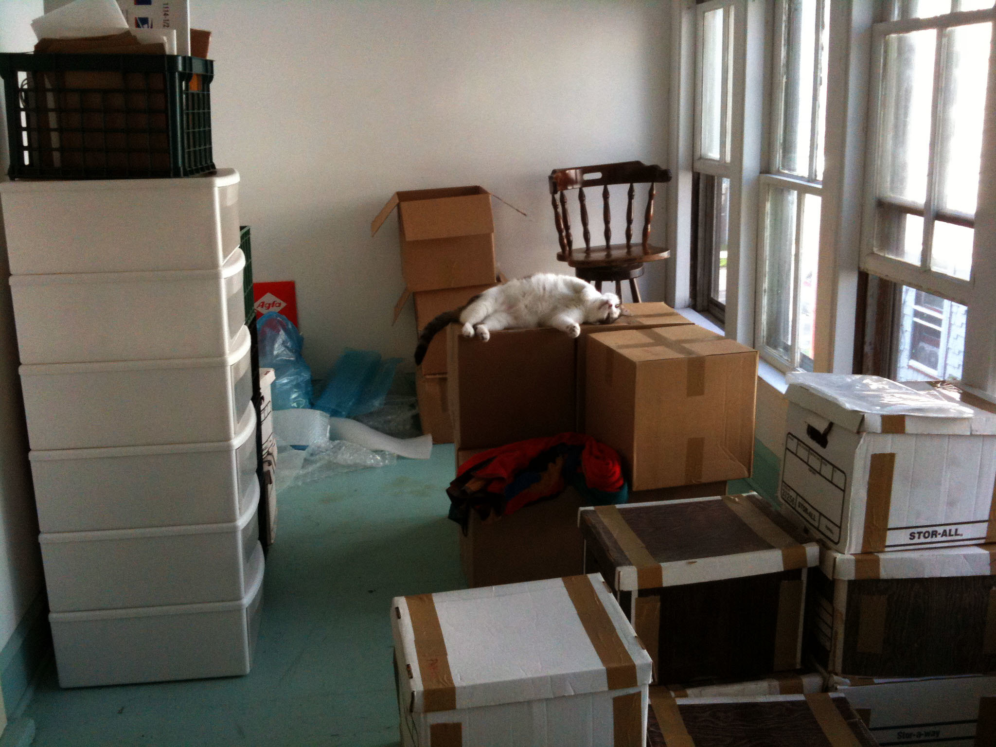 image - How to Pack Your Belongings Before Your Big Move
