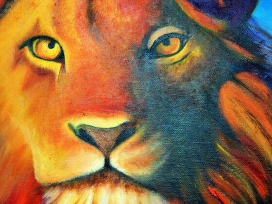 Featured image - How to Find the Right Lion Canvas Artwork for Your Office or Home