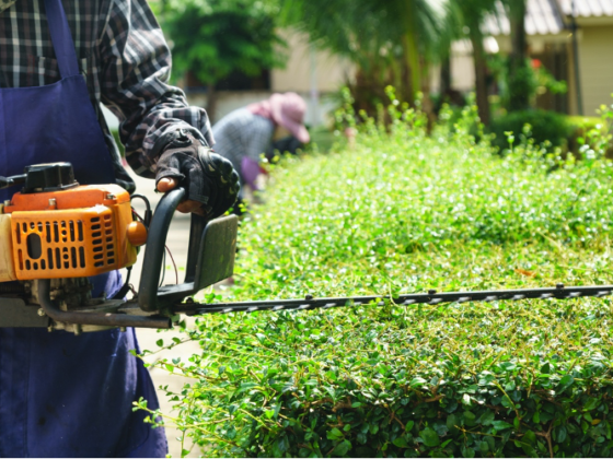 Featured image - This Is How to Hire a Landscaper for Your Home