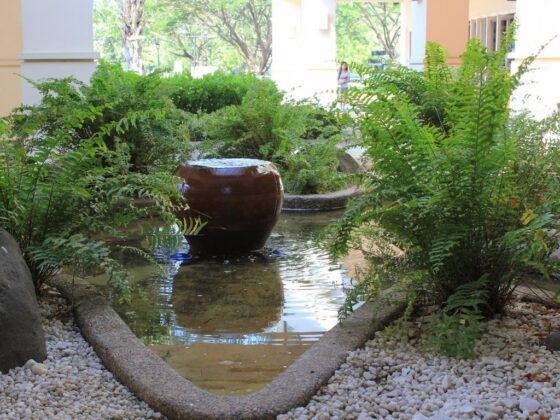 Featured image - Why Add Water Feature for Your Retirement Home