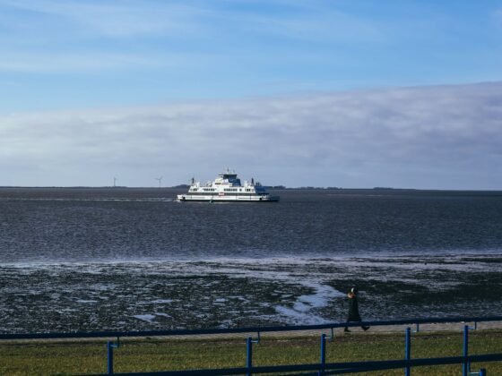 Featured image - Why Hire Experts for Seawall Maintenance and Problems