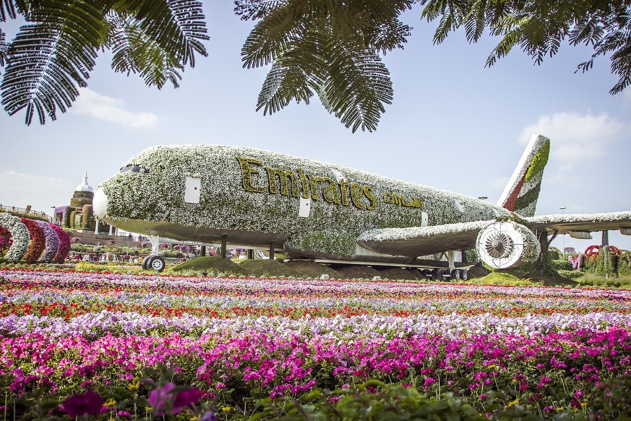 Jardim Milagroso de Dubai imagem - Dubai Miracle Garden