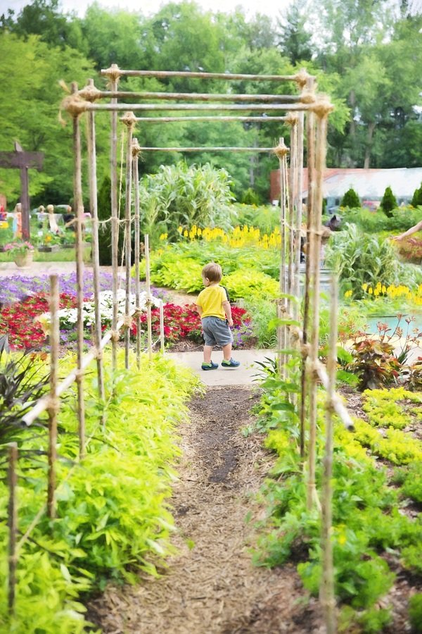 Garden Designing Ideas to Transform Your Outdoor Space image - Garden Designing Ideas to Transform Your Outdoor Space