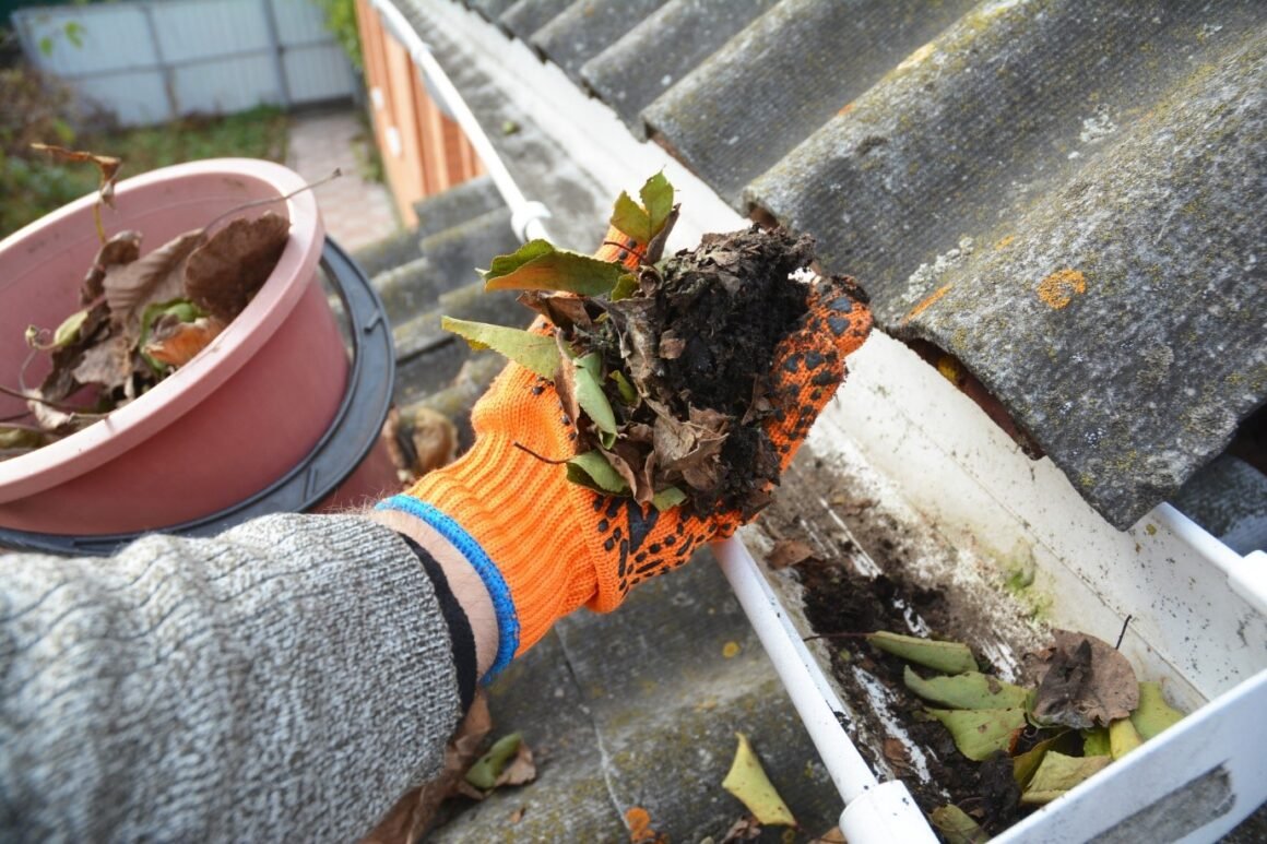 featured image - What Happens If You Don't Hire Gutter Cleaning Services? (It's Not Pretty...)