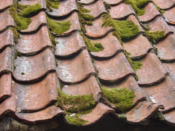 Featured image - How Routine Roof Maintenance Can Prevent the Need for Costly Repairs