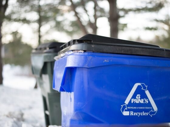 Featured image - Why Is It Important to Choose the Right Junk Removal Service