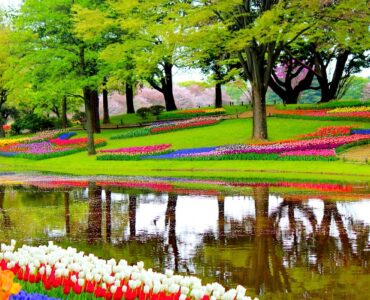 Featured image - What Are the Most Beautiful Gardens in The World?
