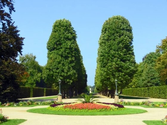 Featured image - Qualities You Need to Nurture to Become a Good Landscape Architect