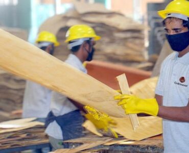 featured image - Looking For The Top Plywood Suppliers in India?