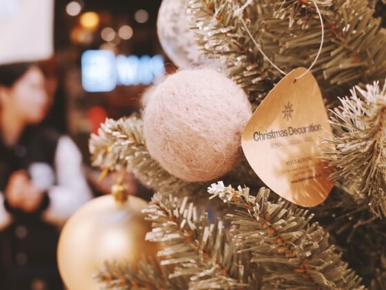 Featured image - Storing Christmas Decorations - 5 Tips You Need to Know