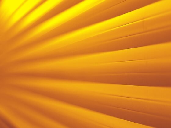 Featured image - 4 Garage Door Designers Worth Checking Out