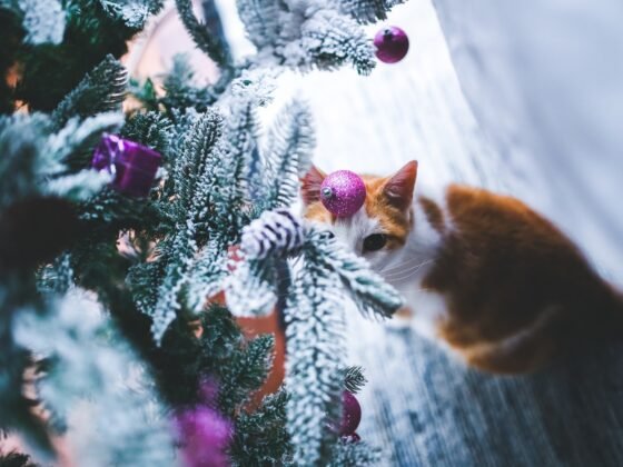 Featured image - Checklist to Prepare Your Home for Winter