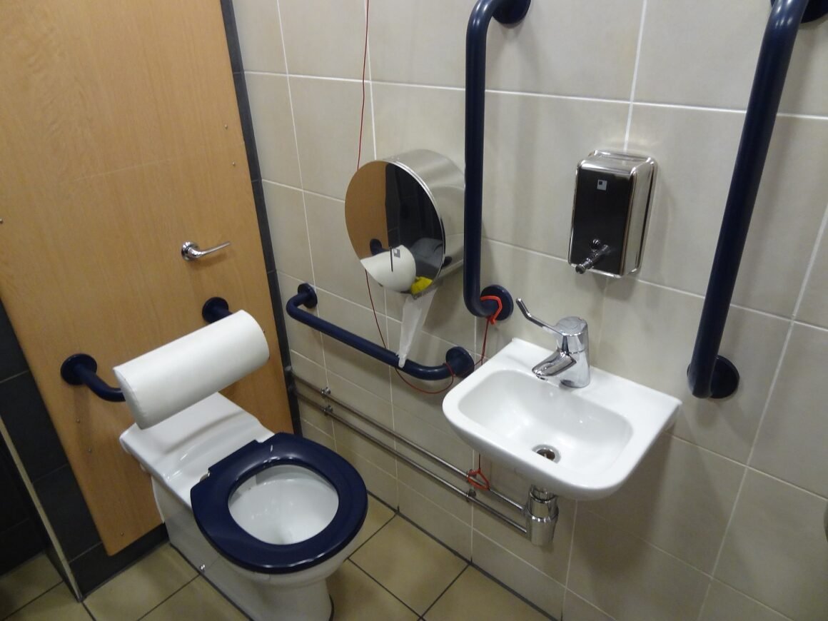 featured image - Top 5 Tips for Toilet Grab Bars Care & Maintenance