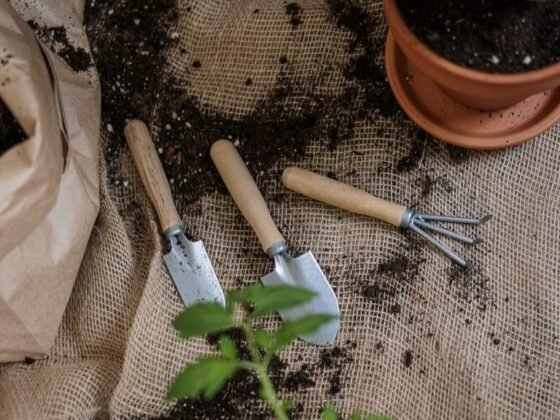 Featured image - Choosing the Best Garden Shoes