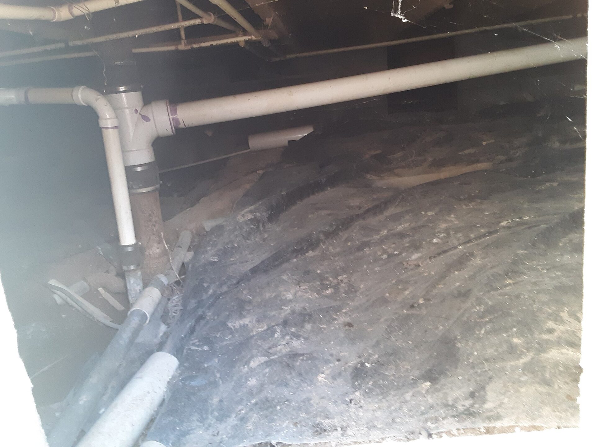 featured image - Top Reasons to Have Your Crawl Space Waterproofed