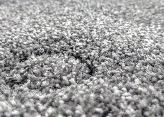 Featured image - DIY Methods to Remove Wrinkles from Carpet