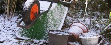 Featured image - 5 Essential Gardening Tips for the Winter Season