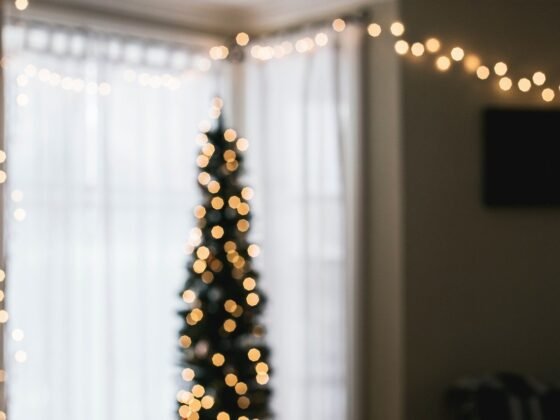 Featured image - Exciting Tips on Hanging Christmas Lights Around Windows