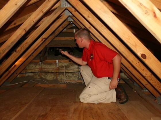 Featured image - How to Choose an Attic Cleaning Service for New Homeowners